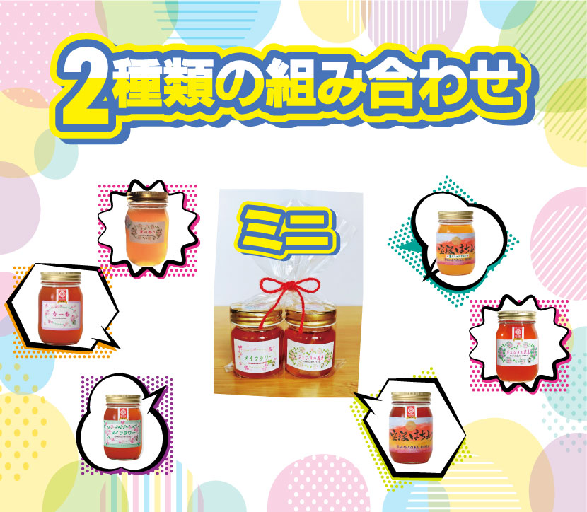 ミニ宝塚